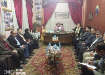 المستقلين الجدد