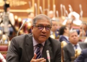 الدكتور عفت السادات