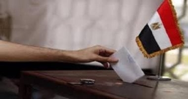 التصويت في الانتخابات
