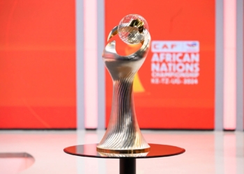 بطولة أمم أفريقيا للمحليين