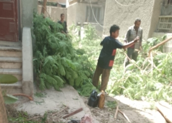سكان مدينة الضرائب بالهرم