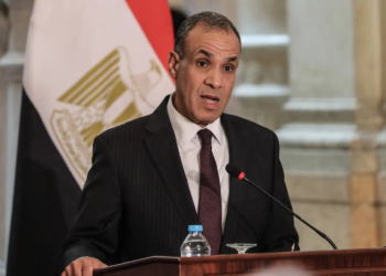 الدكتور بدر عبد العاطي وزير الخارجية
