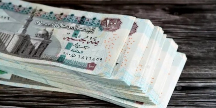 زيادة المعاشات