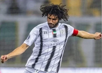 محمد النني