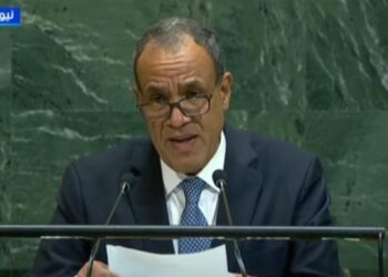وزير الخارجية أمام الأمم المتحدة