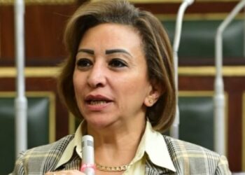 مها عبد الناصر