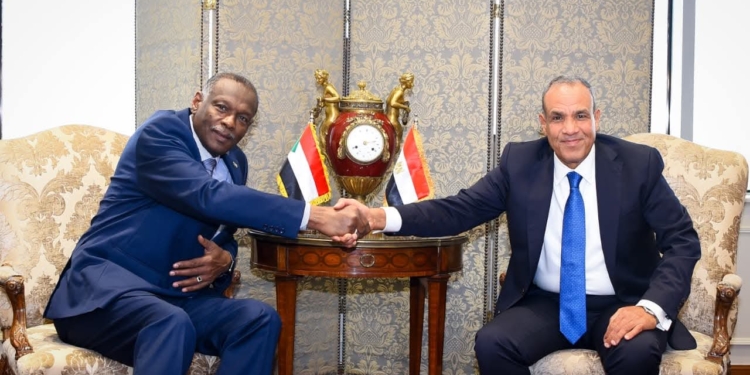 وزير الخارجية يستقبل يستقبله نظيره السوداني