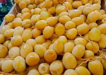 رؤية البلح الأصفر بالمنام
