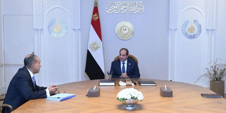 الرئيس السيسي و وزير الخارجية