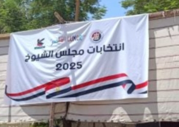 انتخابات مجلس الشيوخ
