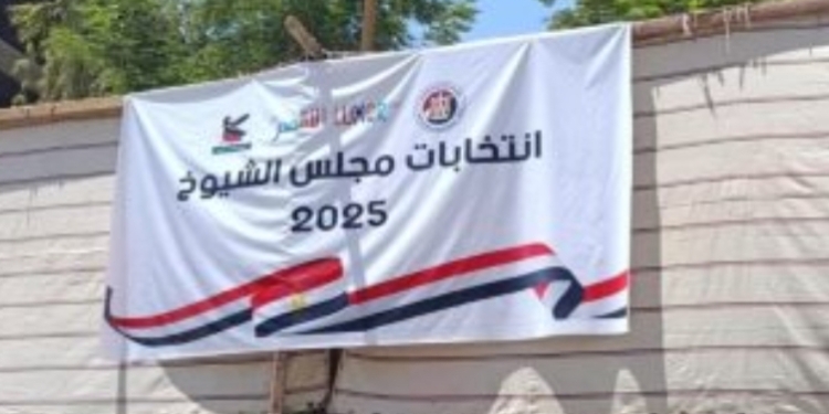 انتخابات مجلس الشيوخ