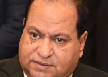 إبراهيم الصعيدي، مرشح حزب الدستور و الطريق الحر