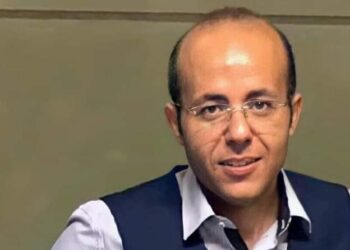 مصطفي عادل، الكاتب والباحث الاقتصادي