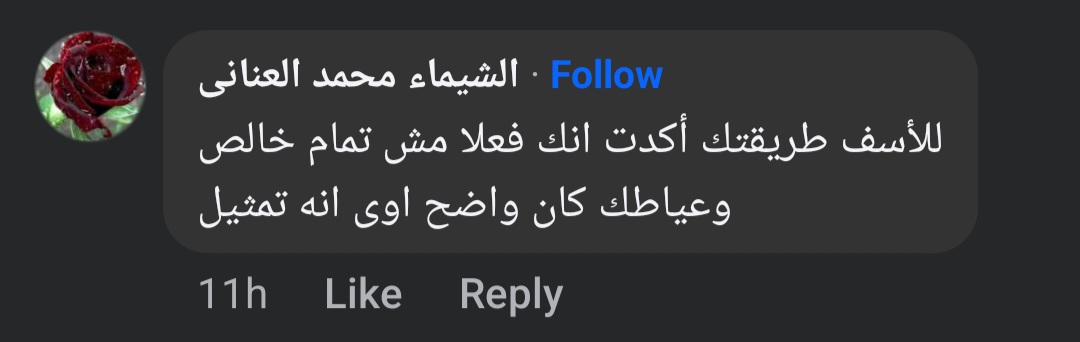 تصريحات وفاء عامر