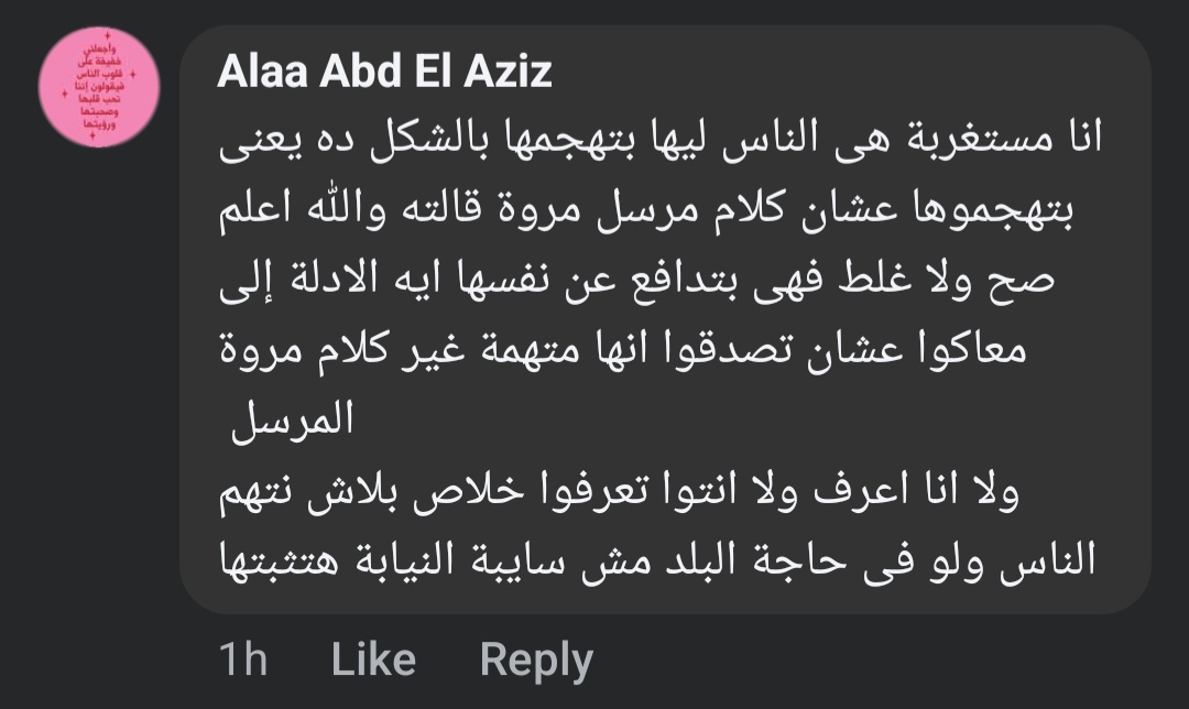 تصريحات وفاء عامر