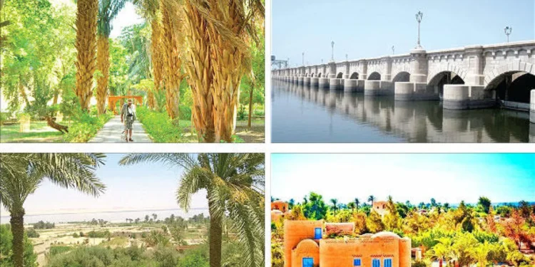 السياحة الزراعية