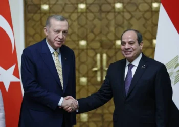 الرئيس المصري عبد الفتاح السيسي والرئيس التركي أردوغان