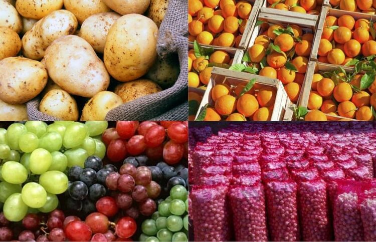 الصادرات الزراعية