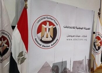 الهيئة الوطنية للانتخابات