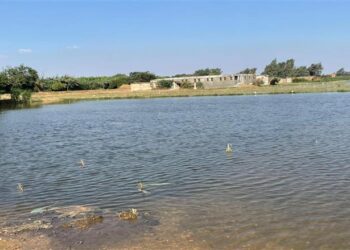 غرق مناطق في المنوفية بسبب الفيضان