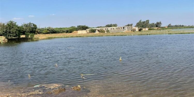 غرق مناطق في المنوفية بسبب الفيضان
