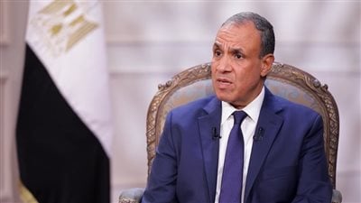 وزير الخارجية المصرية