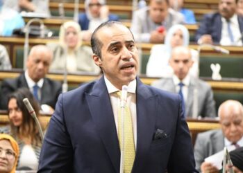 المستشار محمود فوزي