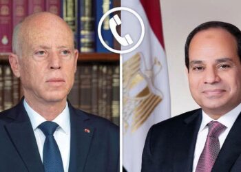 الرئيس السيسي و رئيس التونسي