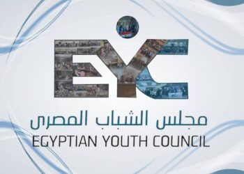 مجلس الشباب المصري