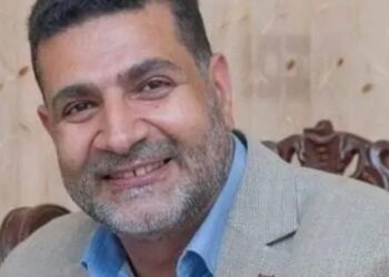 علاء الخيام، رئيس حزب الدستور الأسبق