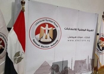 الهيئة الوطنية للانتخابات