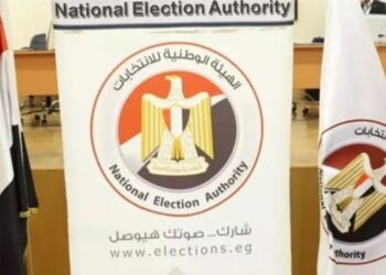 الهيئة الوطنية للانتخابات