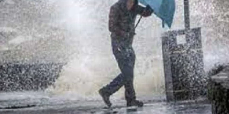 حالة الطقس المتوقعة غدا