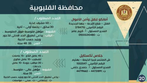 فرصة عمل جديدة