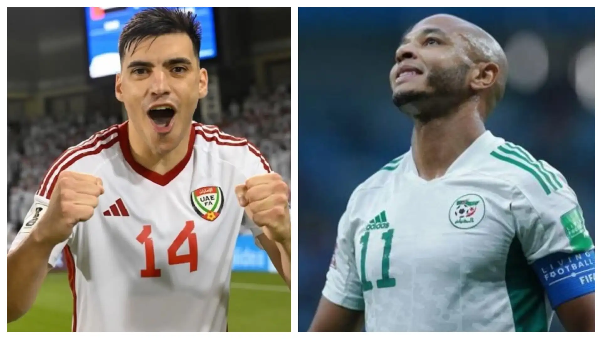 الجزائر والإمارات