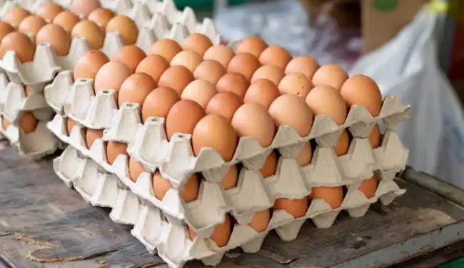 سعر كرتونة البيض اليوم للمستهلك