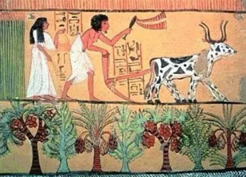 النهاردة كام طوبة