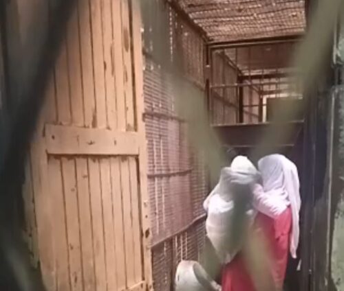 قاتلة أطفال دلجا بالمنيا