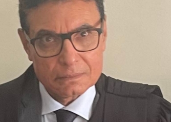 الدكتور محمود كبيش، المحامي وأستاذ القانون الجنائي