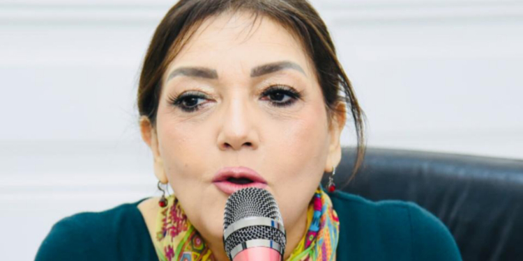 جميلة إسماعيل، رئيس حزب الدستور