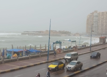 طقس الإسكندرية اليوم