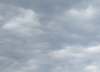 حالة الطقس في الاسكندرية اليوم
