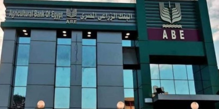 راعي خير مصر