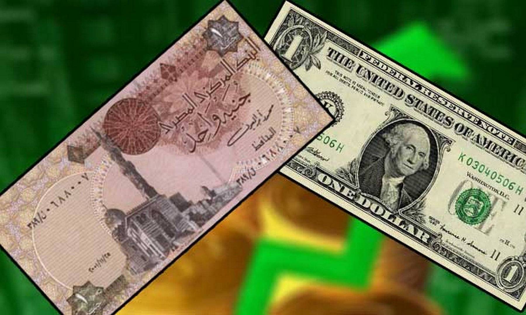 سعر الدولار اليوم الجمعة 3 يوليو 2026