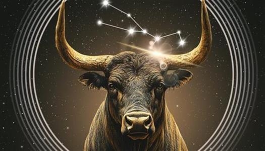 حظك اليوم برج الثور الجمعة في فبراير 2026.. طاقة امتنان وراحة مستحقة واستقرار ينعكس على حيات