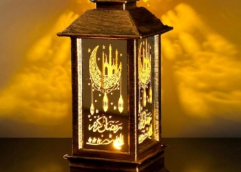 أسعار الفوانيس