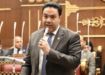 النائب إسماعيل الشرقاوي
