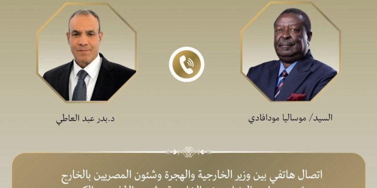 وزير الخارجية ونظيره الكيني