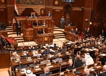 مجلس الشيوخ