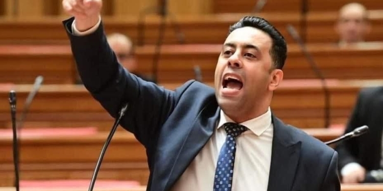 النائب أحمد فرغلي عضو مجلس النواب